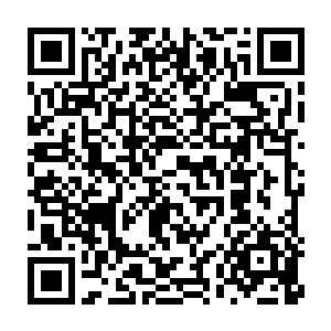 挥挥手把那些残羹冷酒连同撒了不少仙酒的矮几都碾成了肥料撒进土里二维码生成