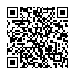 挥舞着修仙者大旗却只知谋取私利的小人搅和到一起二维码生成