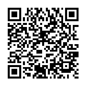 挥舞着散发着血腥味和无边怨念煞气的拳套冲入人群中二维码生成