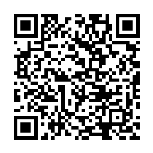 挽着他手臂的女人则是当年的燕京第一美人他的母亲洛莘二维码生成