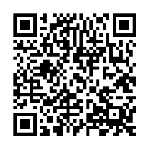 挽风界主他们还不知道宇宙塔和远征殿的态度已经有所转变了二维码生成