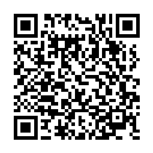 捆住万石兽的是一些经过特殊浸制处理的粗而结实的草绳二维码生成