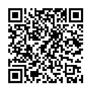 捉海里的唐刀鱼群就像是用网去网一辆高速飞奔的摩挺快艇二维码生成