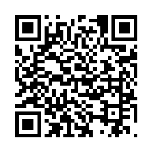 损失最为严重地看定会是自己的叶家二维码生成