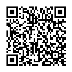 捡到了国宝却没拿到奖金的那一点不爽随即就消失无踪了二维码生成