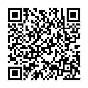捡完木柴回来的刚偏头看了一眼好像陷入沉思的老祭祀二维码生成