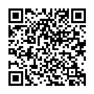 换上了一身衣服的蓝梦遗看起来就像是一个高贵无比的公主二维码生成