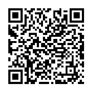 换做他们任何一个人都说能容忍洛神宫未来的希望二维码生成