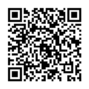 换做其他豪门出身的女人恐怕都不屑于来到这种环境里二维码生成