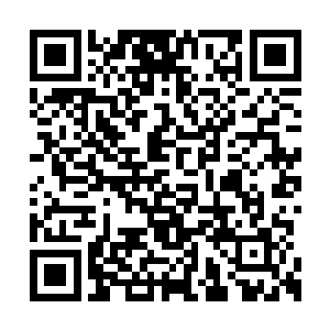 换来的肯定是毁灭性打击……成熟政客一旦发招二维码生成