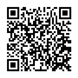 换着花样烧着菜而黎未未现在则是趁着放假也凑到了这里二维码生成