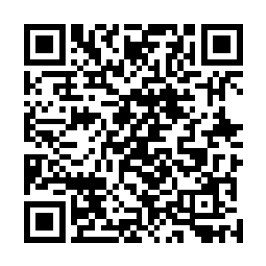 换身衣服往外面一站说不定会被认为是谁家的小姐公子呢二维码生成