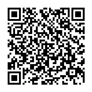 捣蛋鬼等到的信息就只有一条同时也时贝海想要传达给在这一片儿混的鲸鱼群的二维码生成