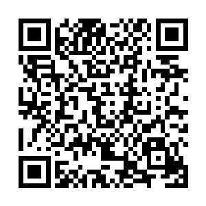 捧在她脸上的手不自觉的轻抚起了她和自己相似的眉眼二维码生成