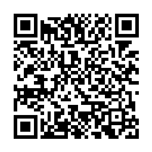 捧山真人和白素仙都不是第一次见这块九龙玄关二维码生成