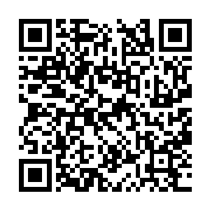 捧起一小团白色的丝网呈放在面前光滑的乌木桌上二维码生成