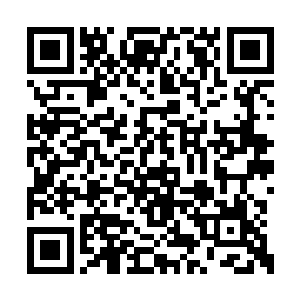 据传闻当初许紫烟的那个仙诀真的具有那个实力二维码生成