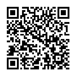 据吴教授说另一批的即将进入交配期的唐刀鱼群赶到了这里二维码生成