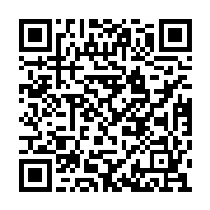 据我对附录的了解……饮用这类物质后所产生的二维码生成