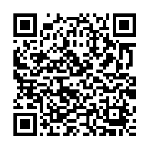 据我所知在此之前丰洲地区的工程发包都没有采取招投标方式二维码生成