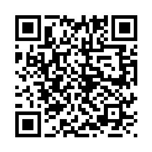 据说一头成年熊可以撕开一条老虎二维码生成