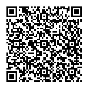 据说三大学院的上宗太行宗和另外几大入了品级的宗门便是建在落日山脉中间地带的某处元气浓郁之地二维码生成