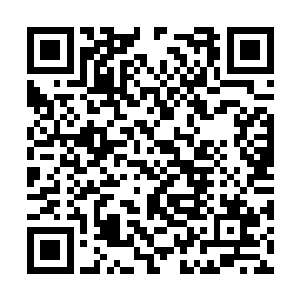 据说他们已经是站在这个世界最巅峰的强大存在了二维码生成