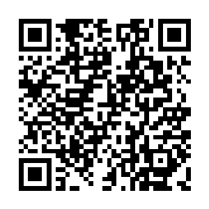 据说他们甚至准备去挑战自我封印了的天青牧首二维码生成