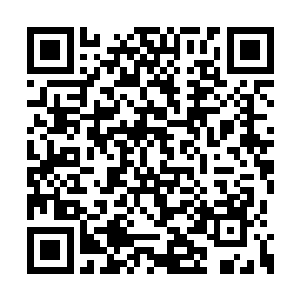 据说他收藏的明清两朝的朝廷和地方的往来文书二维码生成