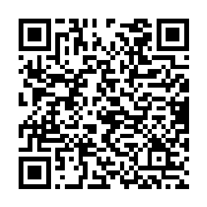 据说他的实力足以和庞博之海里的一方霸主硬撼了二维码生成