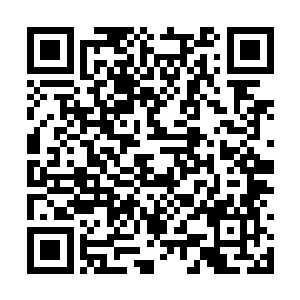 据说会出现在天幕中那玄黄天门的两扇不同门页上二维码生成