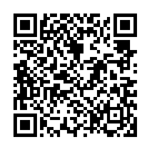 据说参加联谊会年纪最大的　一个就是海市大学的第一期学生二维码生成