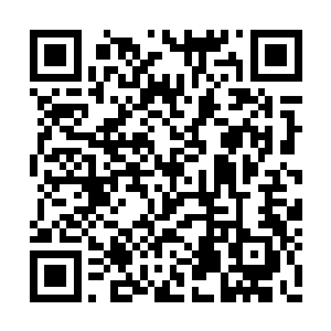 据说只有真正的智者才能看穿整本书的真正内容二维码生成