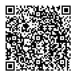 据说只有那位大德鲁伊来自自然古神的神术可以精准预测出阴影王子分身的下一次降临时间和地点二维码生成