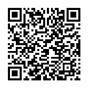 据说图景中女仙确实是琼阳仙子……难道中阳天仙隐瞒了什么二维码生成