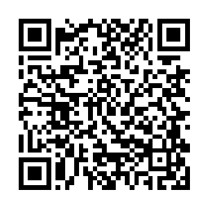 据说在二十岁的时候就曾经手刃过一头成年的北极熊二维码生成