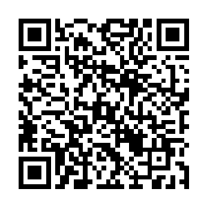 据说她还计划了到巴黎跟老佛爷谈谈新一年的设计计划二维码生成
