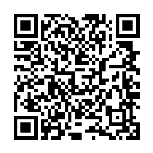 据说它的实力比当初在百族大陆出现的那个混沌兽还强二维码生成