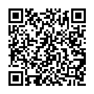 据说宗内的几个大能一起施下了极为强大的禁制二维码生成