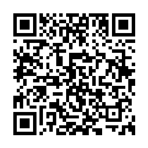 据说对于强化神兵法宝有着化腐朽为神奇的能力二维码生成