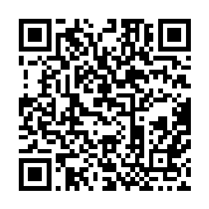据说将包括九头狮子分身在内数百强者的攻击都反弹了回来二维码生成