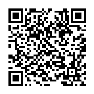 据说已经有近百名应聘者等在会议室到前台外面了二维码生成