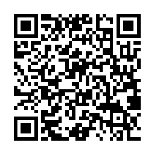 据说年轻时找到了一棵只差十年就有千年之龄的老参二维码生成