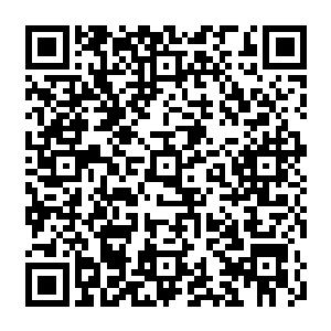 据说当天下午就有学生干部带头在院内号召鼓舞所有学生为白露星的未来做贡献去了二维码生成