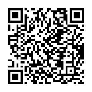 据说当年它发现此水的时候还只是一只未成妖的小老鼠二维码生成