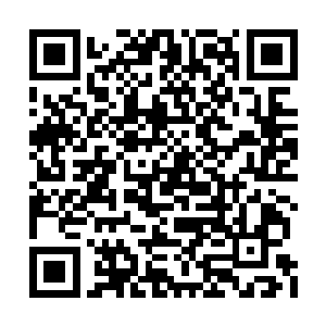 据说很快就会有两名以上的高级神官来到白象城二维码生成