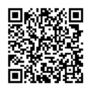 据说斯宾塞家的培训家里这些女人的地方安排在城外二维码生成