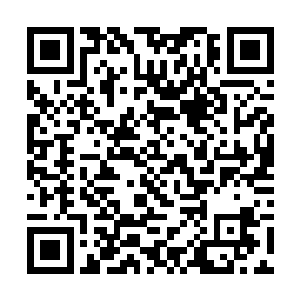 据说无敌家族已经找到了黑龙圣尊遗迹中的关键东西二维码生成