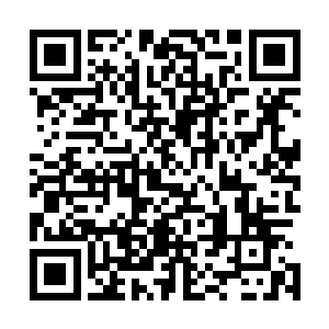 据说明日要亲临球市子观赛…………恩府先生正在竭力挽回二维码生成