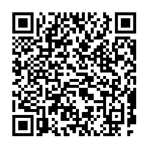 据说昨晚派人打听了一夜……我要知道那两个美色惑众的女人是谁二维码生成